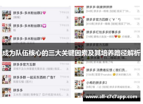 成为队伍核心的三大关键因素及其培养路径解析