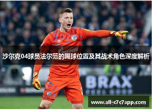 沙尔克04球员法尔范的踢球位置及其战术角色深度解析