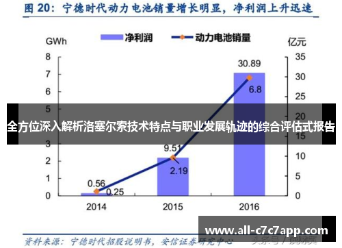 全方位深入解析洛塞尔索技术特点与职业发展轨迹的综合评估式报告