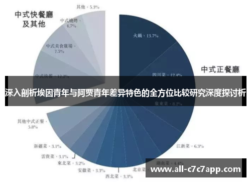 深入剖析埃因青年与阿贾青年差异特色的全方位比较研究深度探讨析 深入剖析埃因青年与阿贾青年差异特色的全方位比较研究深度探讨析